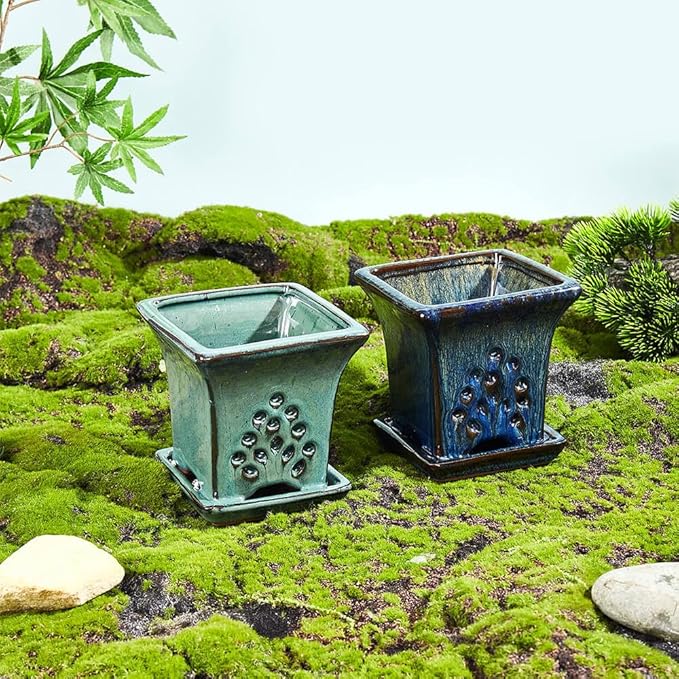 Ceramic Orchid Pots with Holes attached Saucers 4.8 Inches - Set of 2 Small Square Orchid Pots for Repotting, Decorative Ceramic Orchid Planter with Hole for Healthy Root Growth Blue and Green