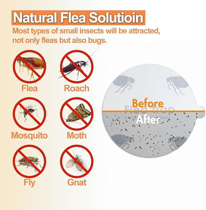 Flea Traps for Inside Your Home, Flea Trap Indoor Pest Control Trapper Insect Killer with Light, Sticky Bed Bug Natural with 3 Glue Disc Refills and 3 Lightbulbs, 1 Pack