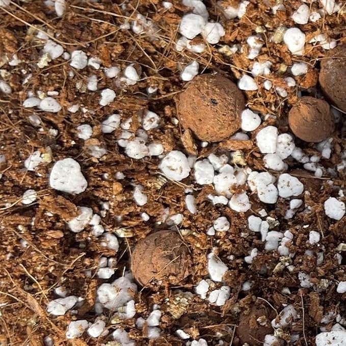 rePotme Jade Plant Succulent Potting Soil Mix - Imperial Blend (Junior Bag - 4 Quarts)