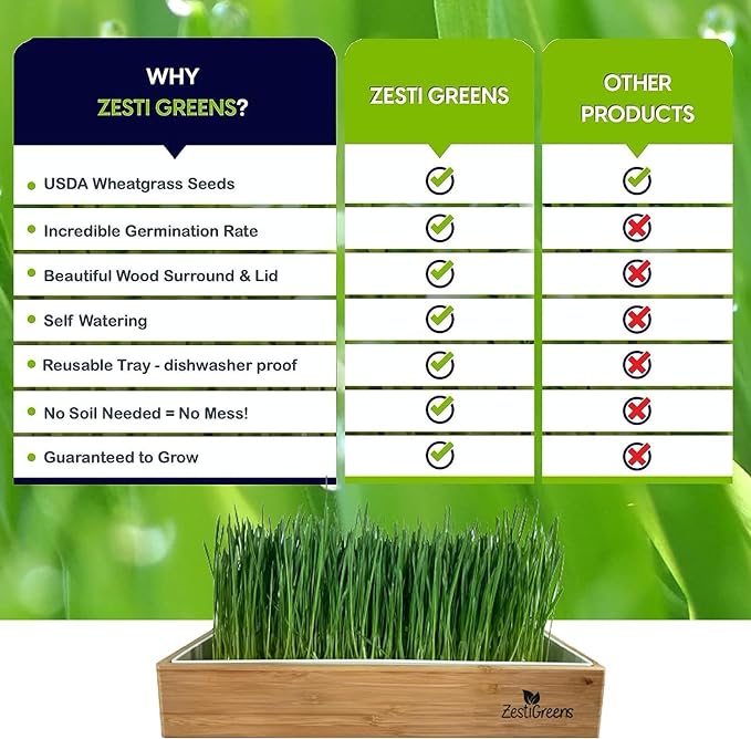 Organic Wheatgrass Growing Kit, Self Watering, with Soilless Grow Mats. The Easy Way to Grow & Juice Healthy Wheat Grass & Make Cat Grass. Bamboo Surround & Black Out Lid. (Organic Wheatgrass Kit)