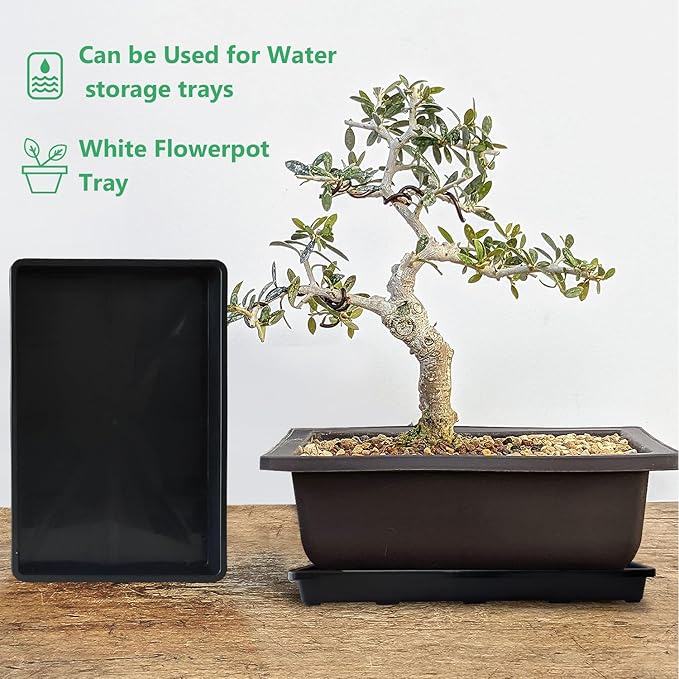 5 Pack Nursery Potting Tray, Carrying and Holding Plant Tray for Seeds Starting Pot, Collecting Drainage Water(Black)