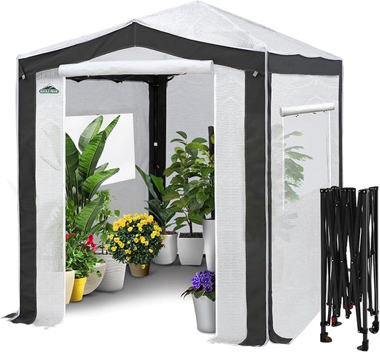EAGLE PEAK 8x6 Portable Walk in Greenhouse with Polyester Reinforced Corners, Instant Pop Up Indoor Outdoor Gardening Green House, Roll Up Zipper Entry Doors and Mesh Windows, Gray/White
