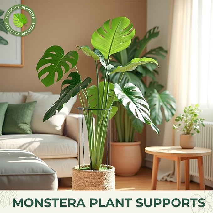 LEOBRO Plant Support, 8 PCS Peony Cages and Supports, Plant Stakes, Plant Supports for Indoor Plants, Outdoor Plants, Monstera Hydrangea Support Cage, 10" W x 24" H