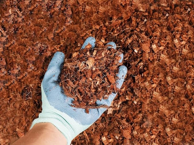 Coco Coir Husk Chips 4-Pack – 2.4 Cu. Ft. Compressed Coconut Coir Bricks, 10 lb. Natural Substrate for Indoor & Outdoor Use, Orchid Bark Alternative, Orchid Potting Mix, Indoor Plant Soil