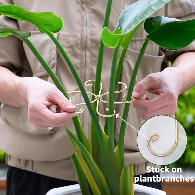 5PCS Monstera Plant Stem Support Hook - 6.5 * 6.5IN Durable Metal Stem Stabilizer for Monstera Plants and Fishbone Cactus - Gentle Protection Leaf Holder - Easy Installation - 5 Piece Set
