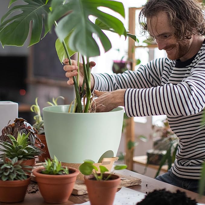 Indoor Pot For Plants 3 Pack 12/10/9 Inch Self Watering Pot For Lazy People,Self Watering Pots For Indoor Plants,Outdoor Pots For Succulent, African violets And Cactus Green Plastic Flower Pots