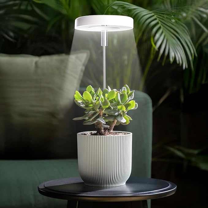 Grow Lights for Indoor Plants Small Potted - Full Spectrum, Auto 3/9/12H Timer, 10-Level Dimming & Adjustable Height - Compact Grow Light for Succulents, Herbs, Foliage in Home/Office (White,2PACKS)
