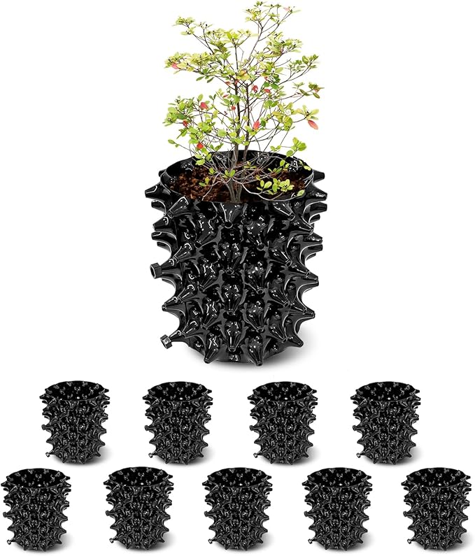 1 Gallon Air Pruning Containers, New Plastic Nursery Pots, Fruit Vegetable Garden Self-Planting Pots, Black (1G-10P)