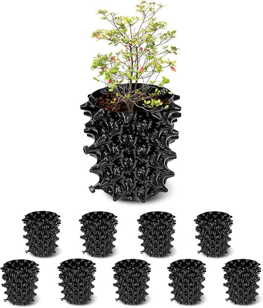 1 Gallon Air Pruning Containers, New Plastic Nursery Pots, Fruit Vegetable Garden Self-Planting Pots, Black (1G-10P)