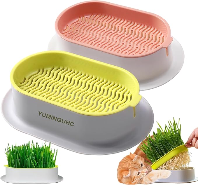 2Pcs Cat Grass Planter (No Seeds Included) Wheatgrass Planting Trays Hydroponic Cat Grass Growing Kits for Indoor Cats Soilless Organic Nursery Box Pet Grass Pot (C)
