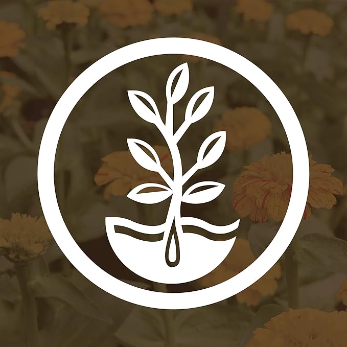 No-Till Winter Rye Seeds - 5 Lbs - Non-GMO Rye Grain Cover Crop Seeds by Mountain Valley Seed Company.