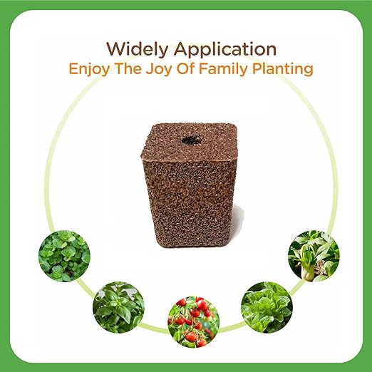 50 Pack Grow Sponges Square Sponge Replacement Part Seedling Starter Sponges for Hydroponic Indoor Garden System Cuttage Rooting Germination Kits