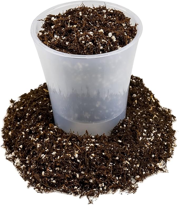 Premium Organic Potting Soil, Succulent & Cactus Soil Mix, Fast Draining Pre-Mixed Blend - Horticultural Perlite (25%) + Peat Moss (75%) - Made in USA - 3 Quart