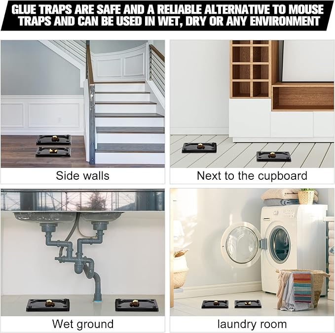 Qualirey 64 Pieces Mouse and Insect Glue Traps Heavier Sticky Traps with Non-Toxic Glue for Mice and Insects, Pet and Children Safe (3 x 5 Inch)