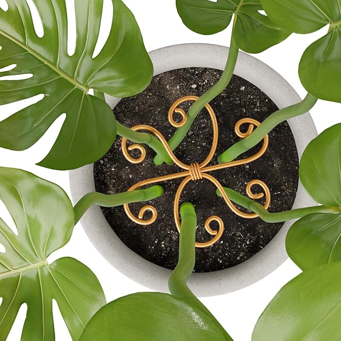 4PCS Iron Monstera Support, Uniquely Designed Plant Support Stakes for Indoor Plants, Stable Plant Stakes and Supports, Turtle Shell Bamboo Clamp Set for Thriving Growth
