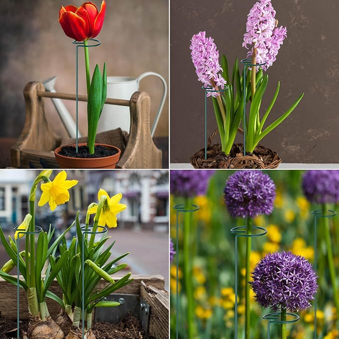 6 Pack Plant Support Stakes, 16 inch Plant Rings with 50 Pcs Plant Twist Ties, Single Stem Plant Support Stakes for Plant Flowers, Amaryllis, Rose, Orchid, Peony, Lily, Tomatoes, Vegetable