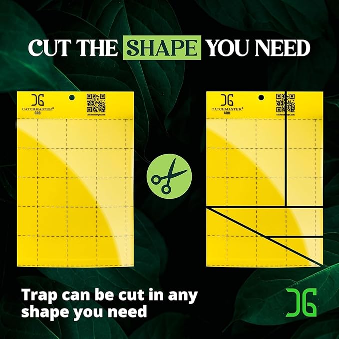 Catchmaster GRO Yellow Large Double Sided Sticky Traps 50PK, Adhesive Bug & Fruit Fly Trap, Pest Control for Home, Farm, Garden, Hydroponics & Greenhouse, Protect Live Plants Indoor & Outdoor