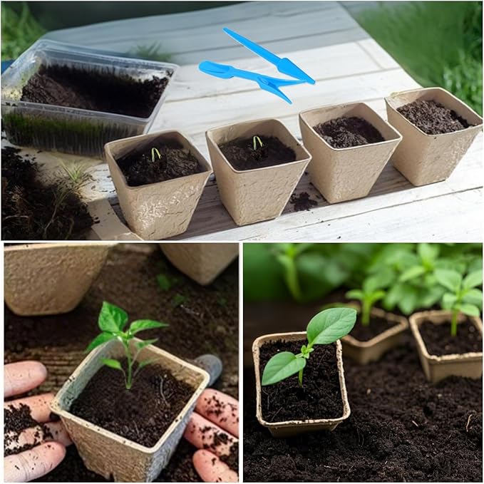 120 Packs Starter Plant pots, 3.2 inch Seedling Plant Pot Kit for Garden Nursery Seed Starter, Plant Garden Germination Pot with 20 Plant Labels and 2 Transplant Tools