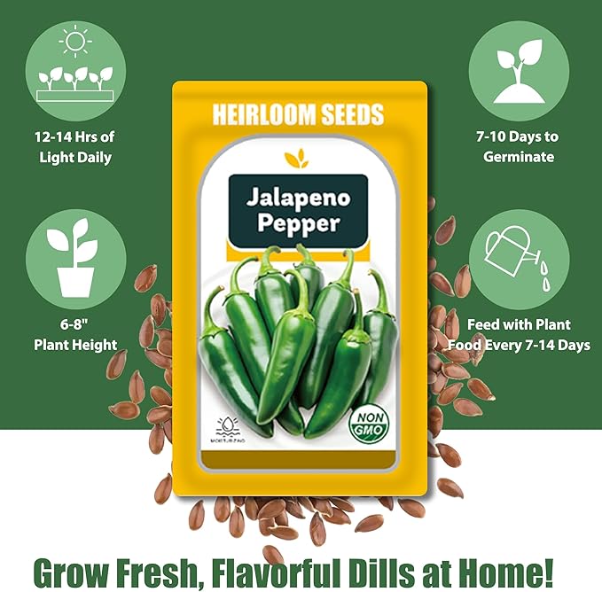 Jalapeno Pepper Seed Pods Kit, 12 Pods Grow Anything Kit for Indoor Hydroponics Growing System, Hydroponics Supplies with 12 Grow Sponges, 12 Plant Baskets, 12 Pod Domes and Labels