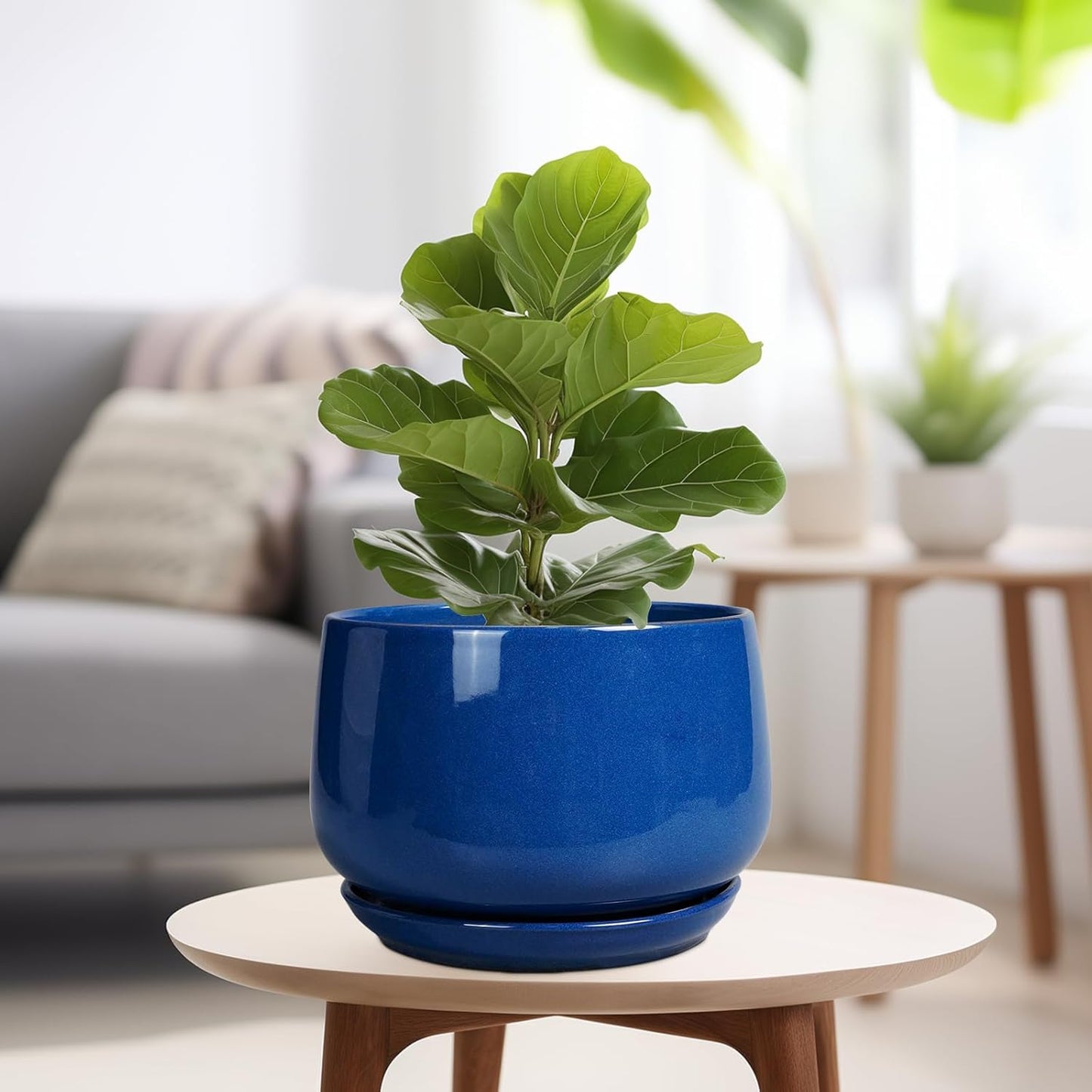 G EPGardening Ceramic Pots for Plants, 9 Inch Modern Round Planter with Drainage and Tray Indoor Outdoor for Flower, Patio Decor, Housewarming Gifts, Blue