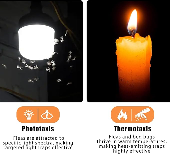 Flea Traps for Inside Your Home, Flea Trap Indoor Pest Control Trapper Insect Killer with Light, Sticky Bed Bug Natural with 3 Glue Disc Refills and 3 Lightbulbs, 1 Pack