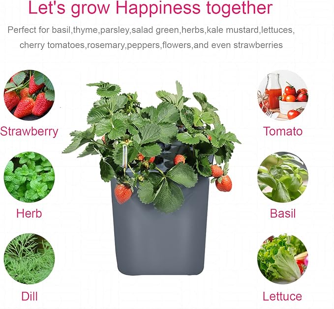 2 Hydroponic Buckets Kit for Plants, Hydroponics Growing System for Herbs/Tomato/Vegetables, DWC System with Air Pump & Germination Tray (Complete Indoor Hydroponic Gardening Supplies)