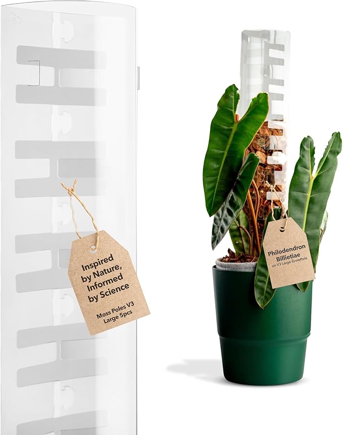 V3 Large GrowPole - Front Opening, Stackable Plastic Moss Poles for Climbing Plants, Monstera Plant Support-Plant Climbing Pole, DIY Plant Support, Works for Philodendron & Anthuriums - 5 Pcs