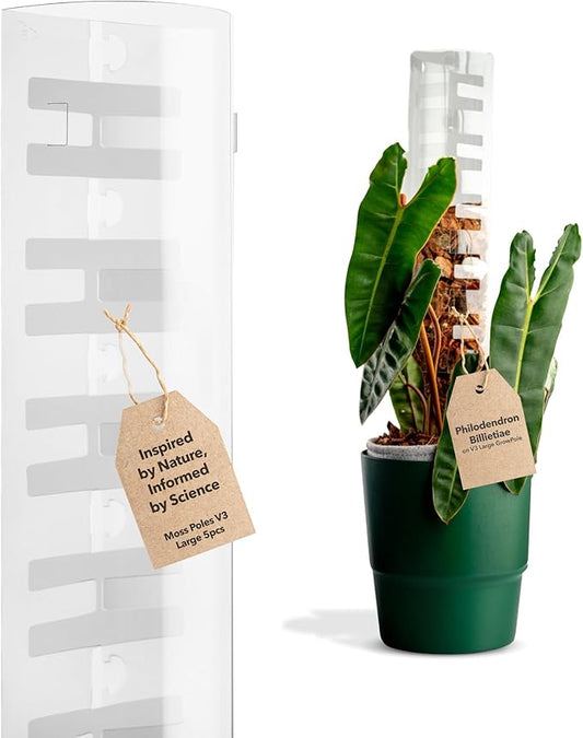 V3 Large GrowPole - Front Opening, Stackable Plastic Moss Poles for Climbing Plants, Monstera Plant Support-Plant Climbing Pole, DIY Plant Support, Works for Philodendron & Anthuriums - 5 Pcs
