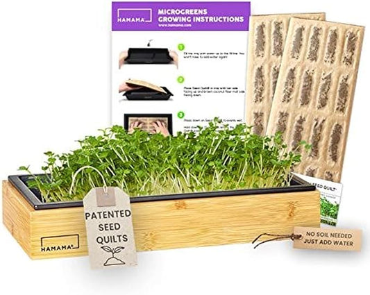 HAMAMA Microgreens Growing Kit Broccoli & Salad - Indoor Sprouts Mat - Seed Quilts Easy Setup Pack of 2 - Plastic Tray and Bamboo Frame