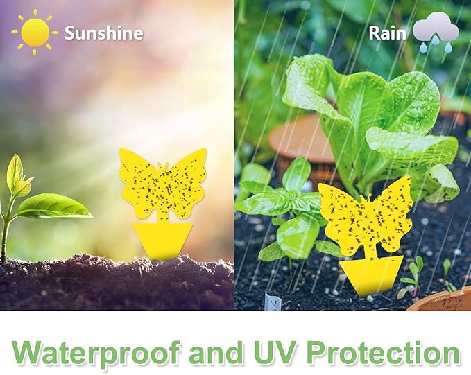 120 Pack Fruit Fly Trap for Indoors, Fungus Gnat Killer Indoor Sticky Traps for Mosquito and Flying Insects, Bug Pest Insect Catcher Killer for Houseplant Non-Toxic