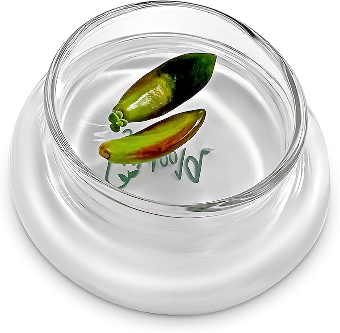 Bloomify Terra Gel Plant Propagation Seed Starter Tray with Glass Dome – Advanced Technology Gardening Supplies Plant Propagation Station for Succulents – Easy to Use Seed Starter Kit