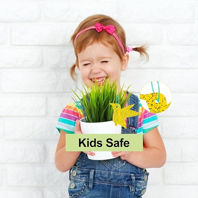 60 Pack Yellow Sticky Traps Fungus Gnat Sticky Traps, Gnat Traps for House Indoor Gnat Killer Indoor, House Plant Gnats Bugs Sticky Killer Fruit Fly Traps for Indoor