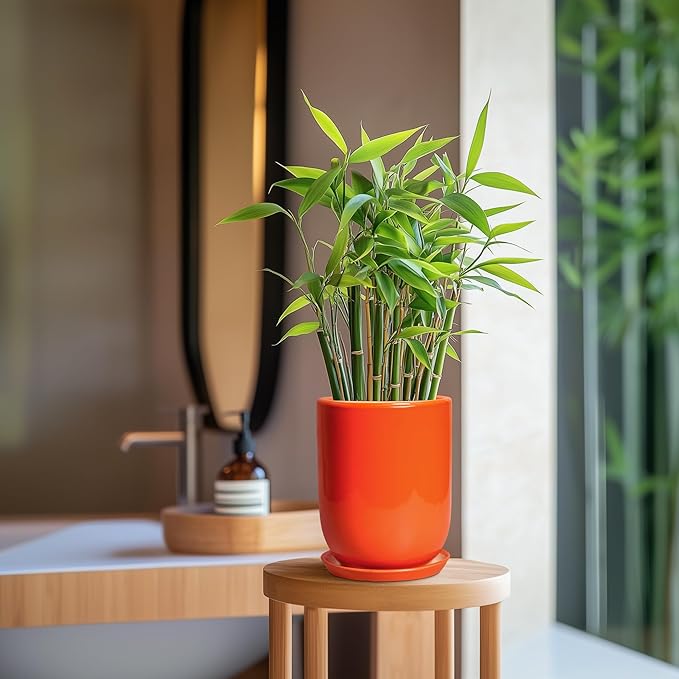 Ceramic Planter - 8 Inch Plant Pot with Drainage Hole and Saucer, Cylinder Round Modern Flower Pot for Indoor Outdoor Plants, Plant Lover Gifts, Garden Office Home Decor, Orange