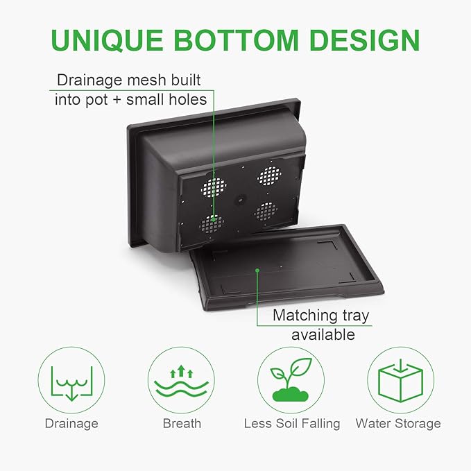 GROWNEER Bonsai Pots 3 Packs 11 Inch Bonsai Tree Training Pot with Humidity Drainage Trays & Repotting Mat Rectangle Planter Plants Starter Kit Growing for Garden Yard Office Indoor Outdoor