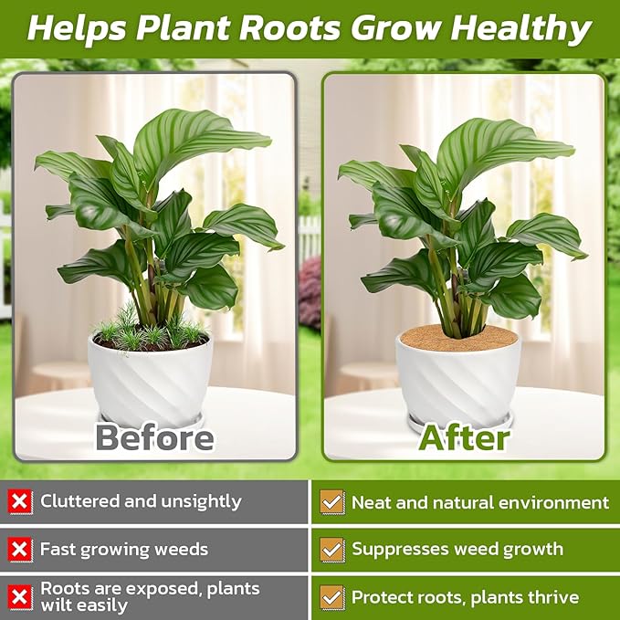 Legigo 20pcs Coconut Fiber Mulch Ring Tree Plant Protector Mat, 11.8 Inch Natural Coco Coir Tree Protection Ring Plant Pot Soil Cover, Tree Rings Disc Plant Cover for Indoor Outdoor Plants,Landscaping