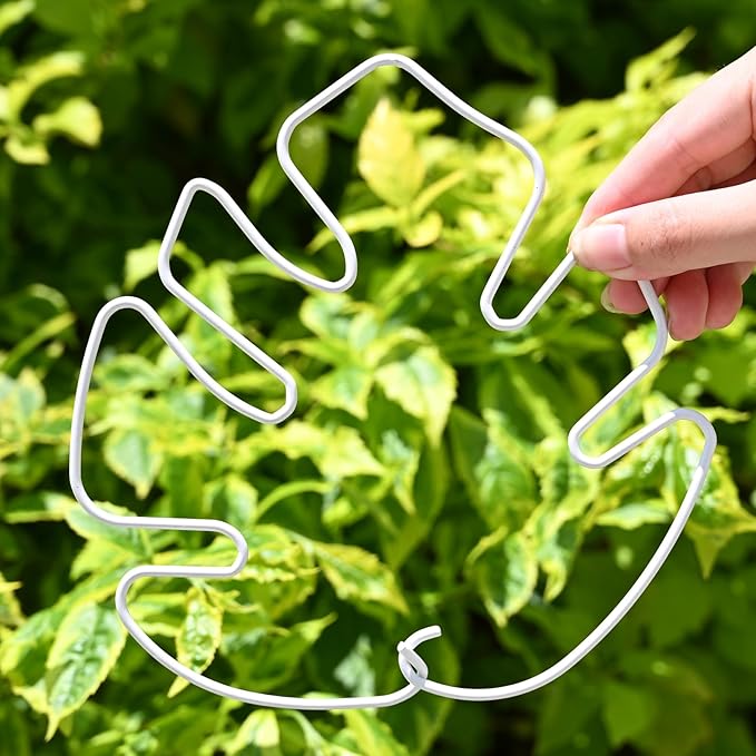 White Monstera Plant Stem Support - 5PCS 7.3x6.25in Durable Adjustable Garden Stake for Indoor Plants, Fishbone Cactus Holder, Innovative Leaf Clip Set, Ideal Tool for Healthy Plant Growth