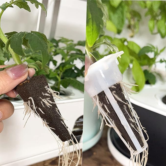 100 PCS Hydroponic Growing Kit Plant Seed Starter Pods Kit Replacement Grow Sponges Seed Suitable for Mushroom Grow Kit