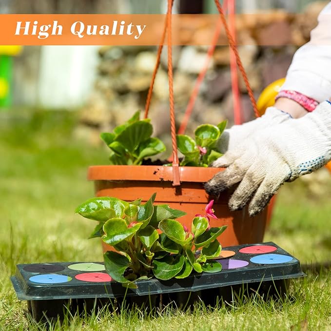 Lallisa 240 Pcs Clone Collars 2 Inch Foam Inserts for Hydroponic Cloning Machines Fits 2" Net Pots Reusable Collars for Hydroponics Plant Germination in DIY Cloner and Clone Machines (Multicolor)