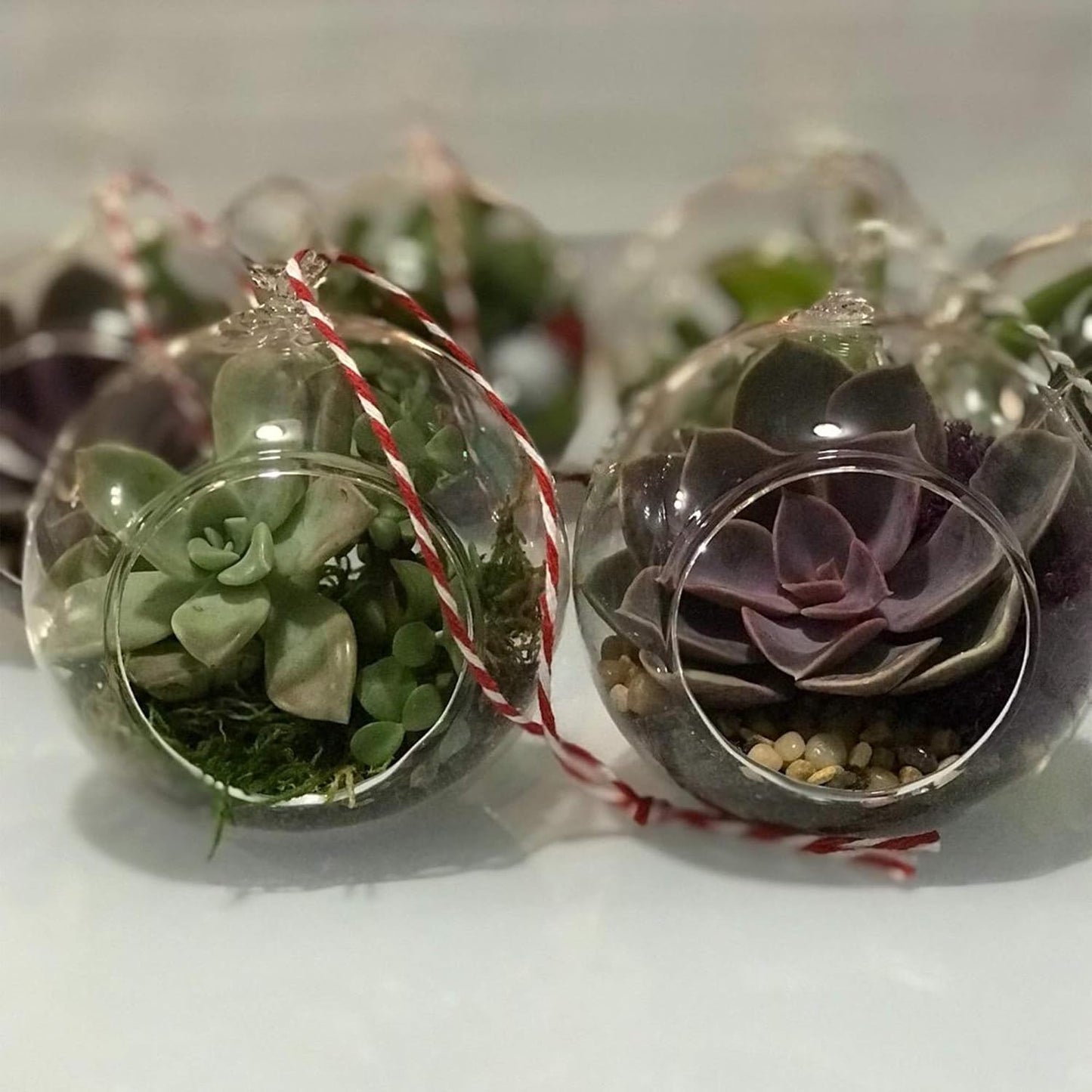 WGV Hanging Terrarium Globe, Width 6", Height 6.5", DIY Air Succulent Planter, Clear Glass Vase Orb with Flat Bottom, Candle Holder for Windowsill Outdoor Garden Decor, 6 Pieces Bulk