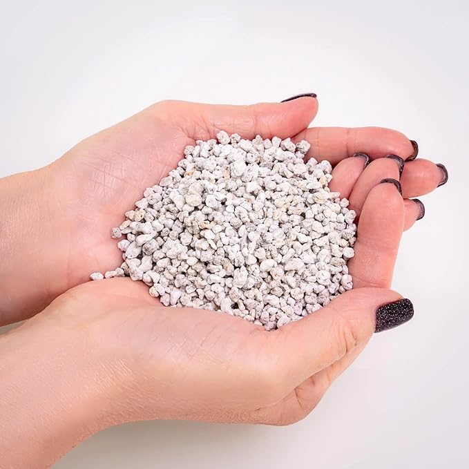 Organic Perlite — Medium/Fine Grade Horticultural Soil Amendment for Indoor & Outdoor Container Plants for Drainage Management and Enhanced Growth (3 Quart)