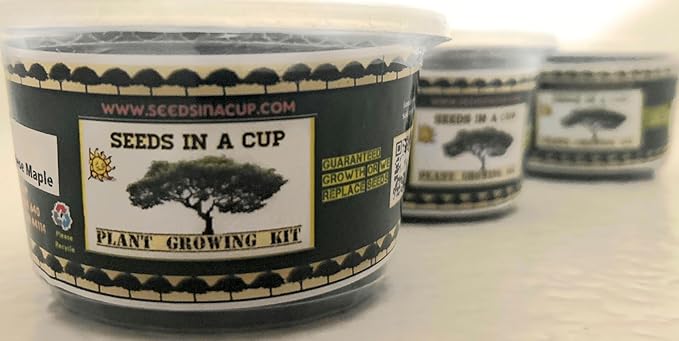 Wisteria- Plant Grow Kit | Wisteria Plant Grow Kit | Indoor/Outdoor Wisteria Starter Kit | Grow Your Own Wisteria | Educational | Great Gift Idea (Tin Planter)