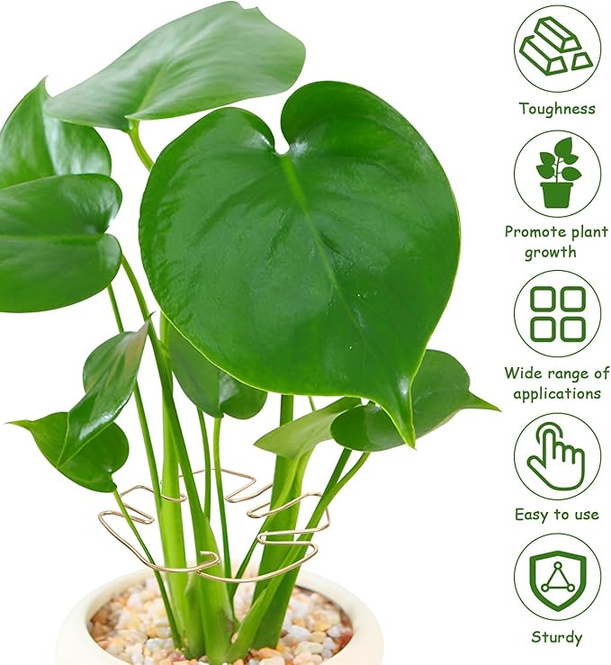 5PCS Iron Monstera Plant Support, Plant Stem Support, Turtle Shell Bamboo Clamp Set, Stable Plant Support Stakes for Indoor Plant, Ideal Present for Plant Lovers