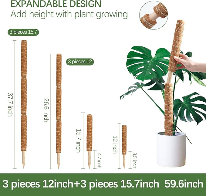 Joyhalo Moss Pole Monstera Plant Support, 6 Pcs 15.7 and 12 Inch Moss Stick for Potted Plants, Plant Pole with 65 Feet Garden Twist Tie