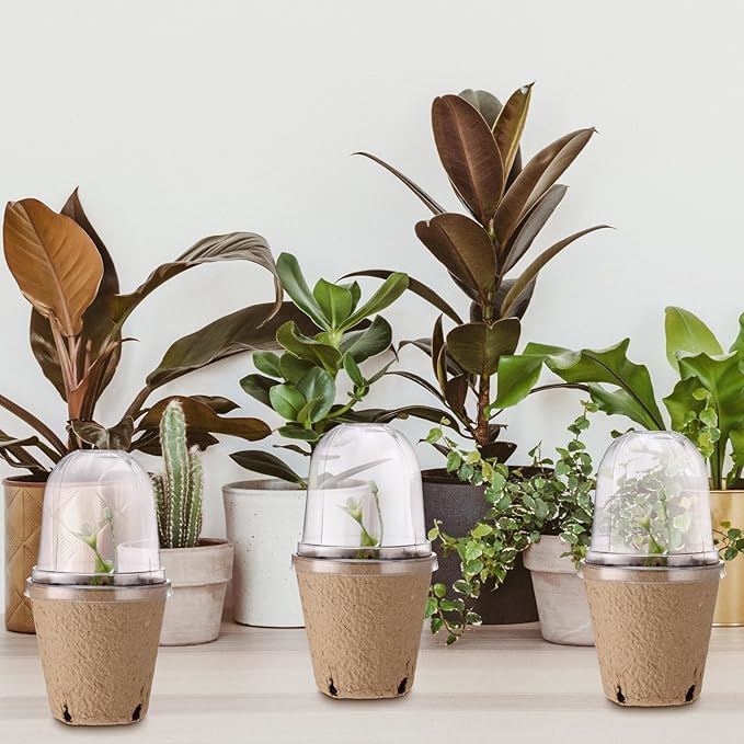 48 Pcs 3. 2 Inch Nursery Pots with Humidity Dome, Plant Seeding Starter Peat Pots for Planting, Flower Germination, Herbs and Vegetable Saplings, Indoor Outdoor Use