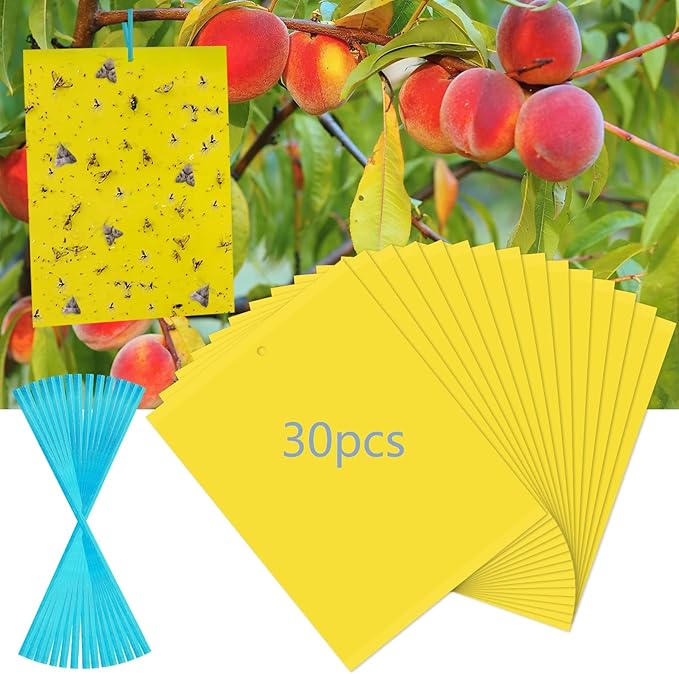 30 Pack Yellow Sticky Traps Fruit Fly Trap, Double-Sided Fungus Gnat Trap Insects Pest Killer for Outdoor Indoor