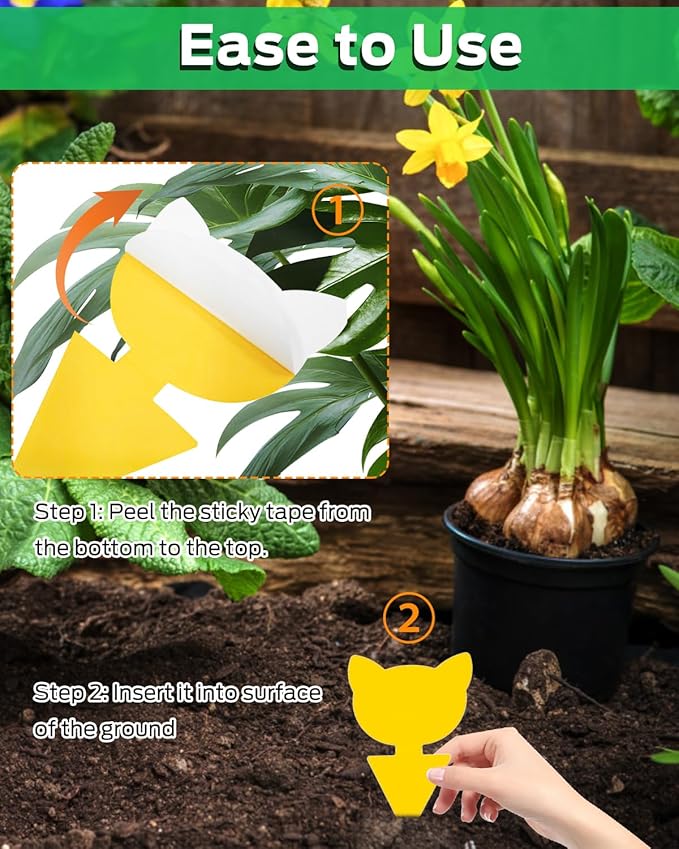 Yellow Sticky Traps for Plant Gnats, Plant Fly Sticky Trap Sticks for Indoor/Outdoor, 100PCS, Non-Toxic, Odorless, Harmless to Vegetables, Fruits, Plants