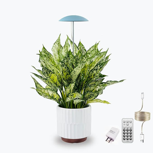 LED Grow Lights for Indoor Plants, Smart USB Small Full Spectrum Plant Lights with Remote, Height Adjustable, Auto On/Off Timer, Ideal for Home Decoration, Blue