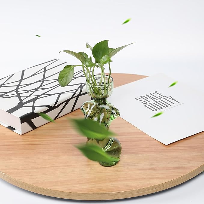 Propagation Vases for Plants Plant Propagation Jars Unique Body Avocado Vase Glass Planter Perfect for Seed Starting Water Rooting and Home Decor Gift for Father