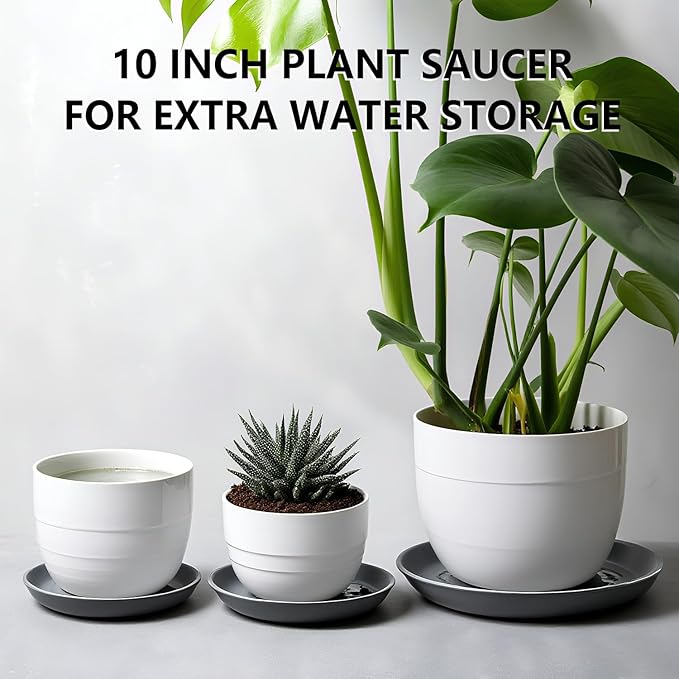 6 Pack 10-Inch Gray Plant Saucer Trays, Heavy Duty Plastic PP Pot Bases for Medium & Large Flower Pots, Durable Water Catcher Plates & Drip Trays for Indoor Outdoor Gardening Use