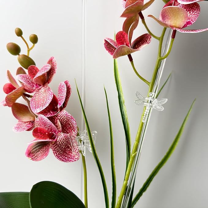 30Pcs Acrylic Plant Stakes Garden Single Stem Plant Support Stakes Clear Orchid Stakes and 30Pcs Clips Plant Support Sticks Clear Dragonfly Orchid Clip for Indoor and Outdoor Plants, Flowers, Tomatoes